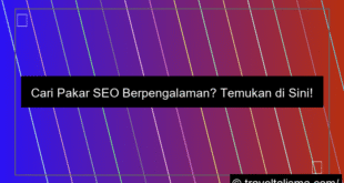 pakar seo berpengalaman